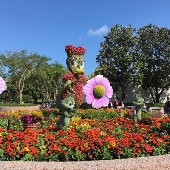 Meet your Posher, Charlotte - Picture 1 of 1